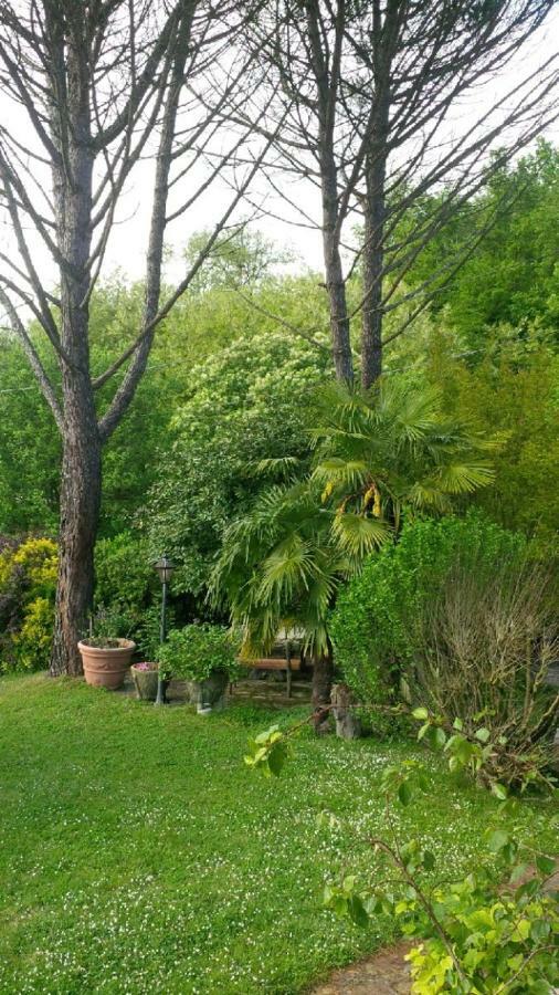 Matilde'S House Διαμέρισμα Riccο del Golfo di Spezia Εξωτερικό φωτογραφία